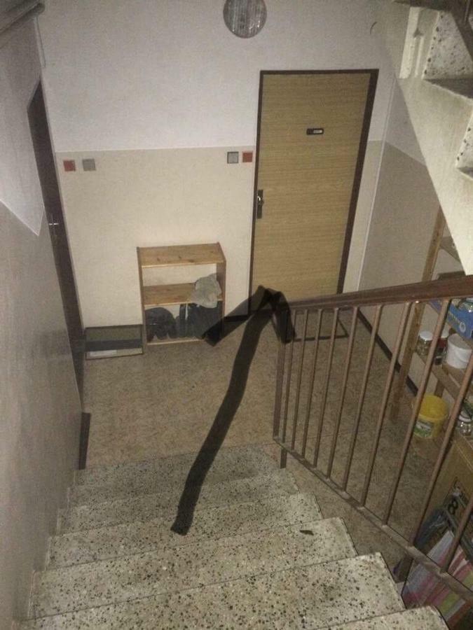 Apartman Na Horach Zlata Olesnice  Exterior foto